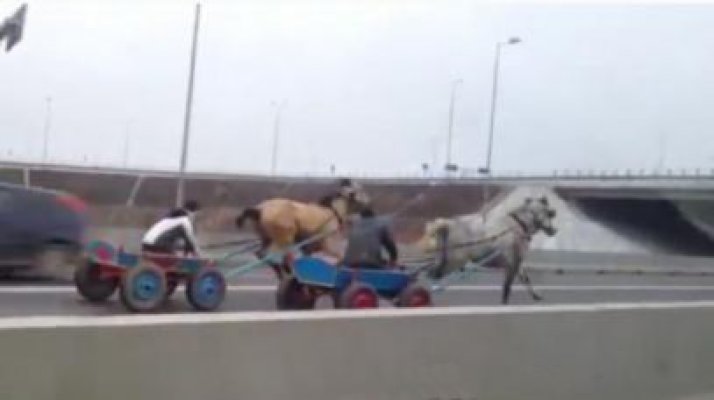 Cursă nebună cu căruţele, pe drumul care leagă Constanţa de Valu lui Traian